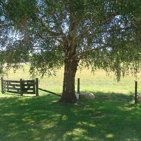 Woolshed Bed & Breakfast Takaka Exterior foto
